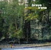 Album Artwork für Brave Irene von Brave Irene