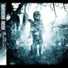 Album Artwork für Through The Ashes Of Empires von Machine Head