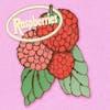 Album Artwork für Classic Album Set von Raspberries
