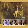 Illustration de lalbum pour 2pacalypse Now par 2Pac
