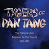 Album artwork for The Wreck-Age/Burning In The Shade 1985-1987 by Tygers Of Pan Tang