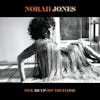 Album Artwork für Pick Me Up Off The Floor von Norah Jones