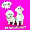 Album artwork for Are You Satisfied? by Slaves