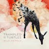 Album artwork for Wild Animals by Trampled By Turtles