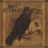 Album Artwork für The Blackbird Diaries von Dave Stewart