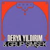 Album Artwork für Dost 1 von Derya/Grup Simsek Yildirim