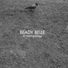 Album artwork for At Welding Bridge by Beady Belle
