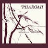 Illustration de lalbum pour Pharoah par Pharoah Sanders