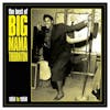 Album Artwork für Best Of Big Mama Thornton 1951-58 von Big Mama Thornton