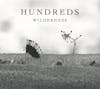 Illustration de lalbum pour Wilderness par Hundreds