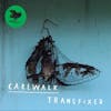Album artwork for Transfixed by Cakewalk