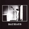 Illustration de lalbum pour In The Flat Field par Bauhaus