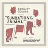 Illustration de lalbum pour Sunbathing Animal par Parquet Courts