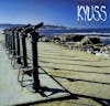 Album artwork for Muchas Gracias:The Best of Kyuss by Kyuss