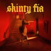 Illustration de lalbum pour Skinty Fia par Fontaines D.C.
