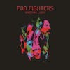 Illustration de lalbum pour Wasting Light par Foo Fighters