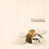 Album artwork for Trauma by Banco de Gaia