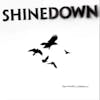 Illustration de lalbum pour The Sound of Madness par Shinedown