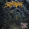 Album artwork for Pierced From Within by Suffocation
