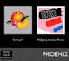 Album artwork for Bankrupt!/Wolfgang Amadeus Phoenix by Phoenix