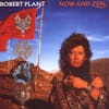 Album artwork for Now And Zen by Robert Plant