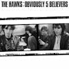 Illustration de lalbum pour Obviously 5 Believers par The Hawks