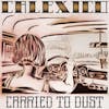 Illustration de lalbum pour Carried To Dust par Calexico
