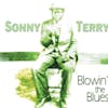 Illustration de lalbum pour Blowin' The Blues par Sonny Terry