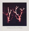 Album Artwork für Trees In Winter von Sol Invictus