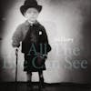 Illustration de lalbum pour All The Eye Can See par Joe Henry