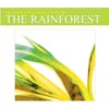 Illustration de lalbum pour Rainforest par Sounds Of Nature