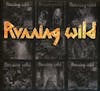 Illustration de lalbum pour Riding the Storm: The Very Best of the Noise Years par Running Wild