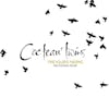 Illustration de lalbum pour Treasure Hiding: The Fontana Years par Cocteau Twins