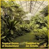 Illustration de lalbum pour Tropical Drums of Deutschland par Various