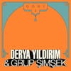 Album artwork for Dost 2 by Derya/Grup Simsek Yildirim