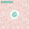 Album Artwork für Holodrum von Holodrum