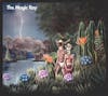 Illustration de lalbum pour The Magic Ray par The Magic Ray