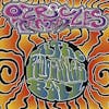 Album artwork for At The Pongmasters Ball by Ozric Tentacles