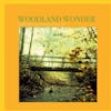 Album Artwork für Woodland Wonder von Sound Effects