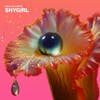 Album Artwork für Fabric Presents: Shygirl von Shygirl