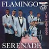 Album artwork for Flamingo Serenade by Flamingos