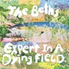 Album artwork for Expert In A Dying Field by The Beths