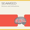 Illustration de lalbum pour Action And Indications par Seaweed