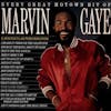 Illustration de lalbum pour Every Great Motown Hit Of Marvin Gaye par MARVIN GAYE