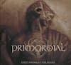 Album artwork for Exile Amongst The Ruins LTD ED DIGIBOOK by Primordial