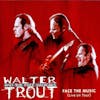 Album artwork for Face The Music by Walter Trout