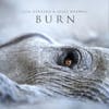 Album artwork for Burn by Lisa And Maxwell,Jules Gerrard