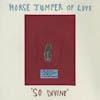 Album Artwork für SO DIVINE von Horse Jumper of Love
