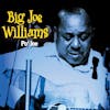 Illustration de lalbum pour Po' Jo par Big Joe Williams