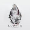 Illustration de lalbum pour Ludwig par Stimming